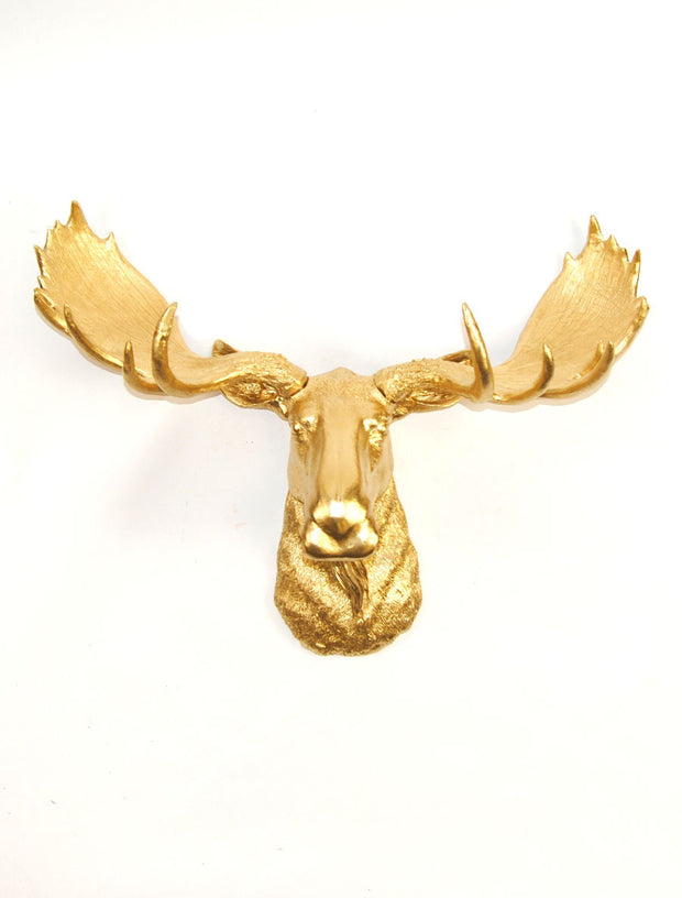 Gold Moose Head Wall Mount