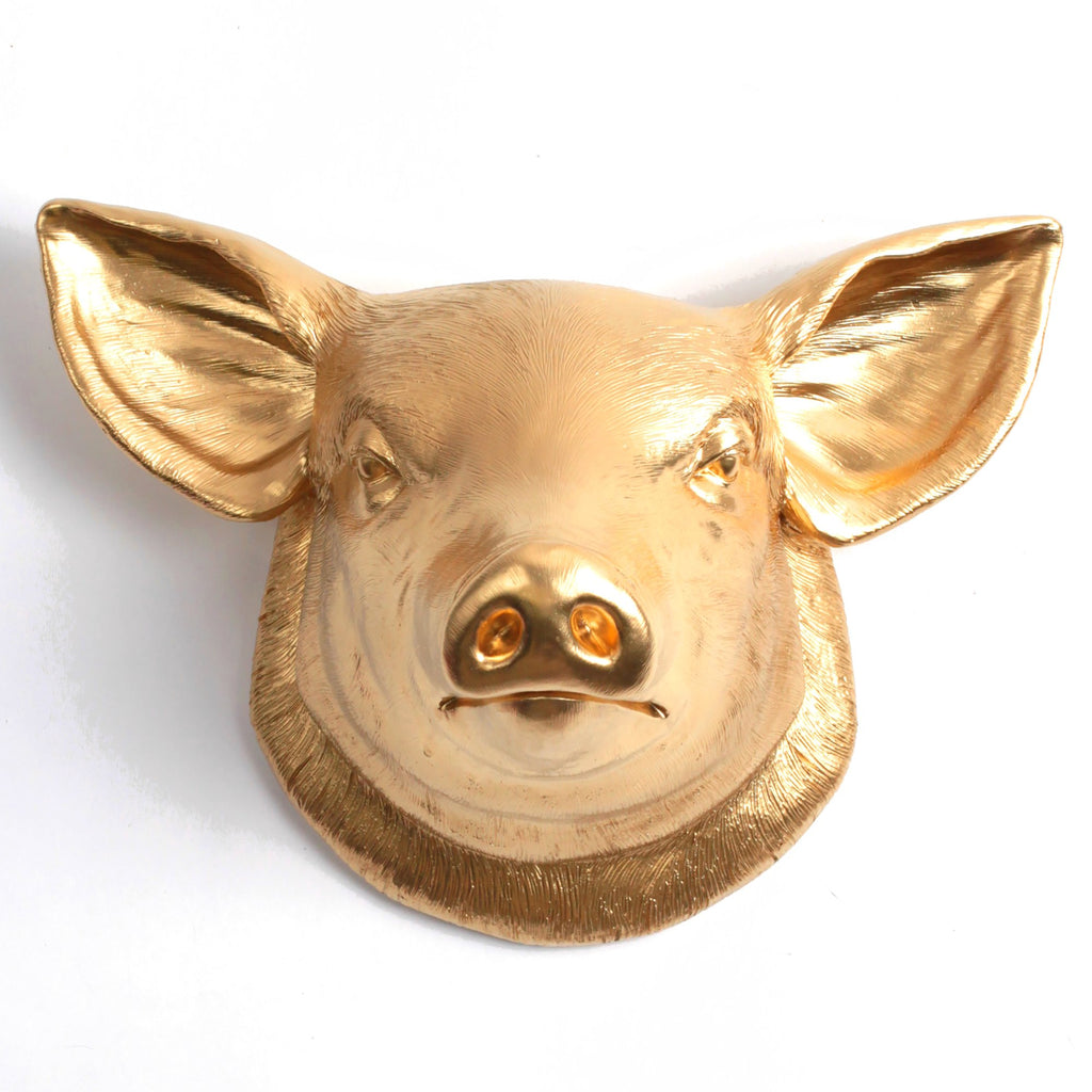 🐷 The Golden Piggy Mount 🐷