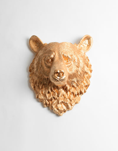 The Honey | Bear Head | Faux Taxidermy | Gold Resin