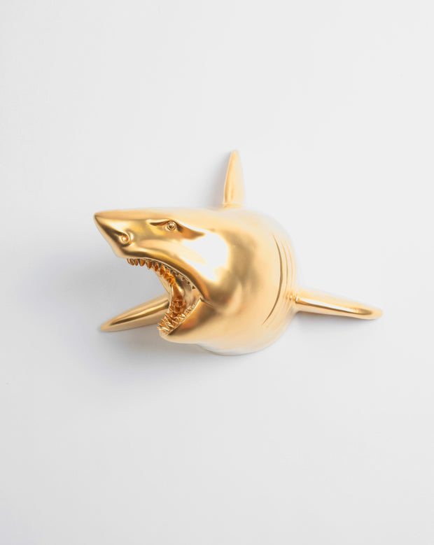 The Lewie in Gold | Faux Taxidermy Shark Head