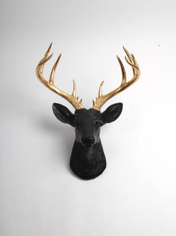 Faux Taxidermy Deer Head in black with gold antlers, XL Alexandr.