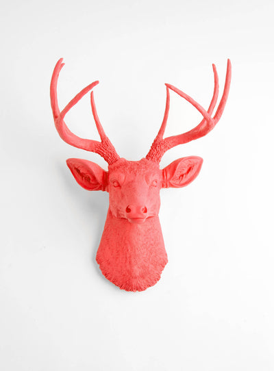 Back in Stock! The Molly | Coral Stag Deer Head Wall Art, Faux Taxidermy Stag