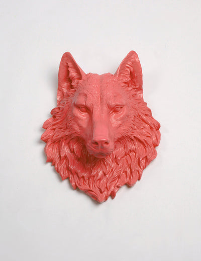 The Lincoln in Coral, Faux Taxidermy Wolf Head Wall Decor