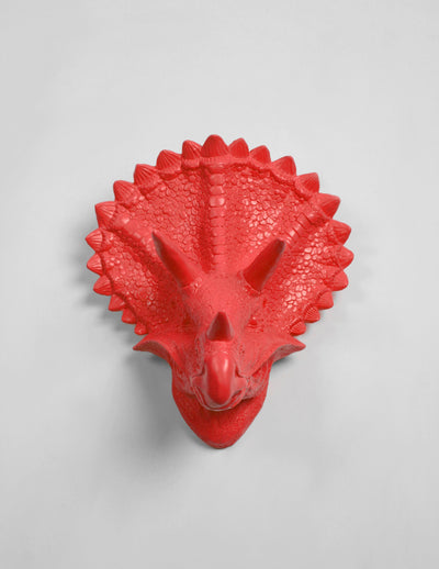 Triceratops Dinosaur Head Wall Hanging in Coral