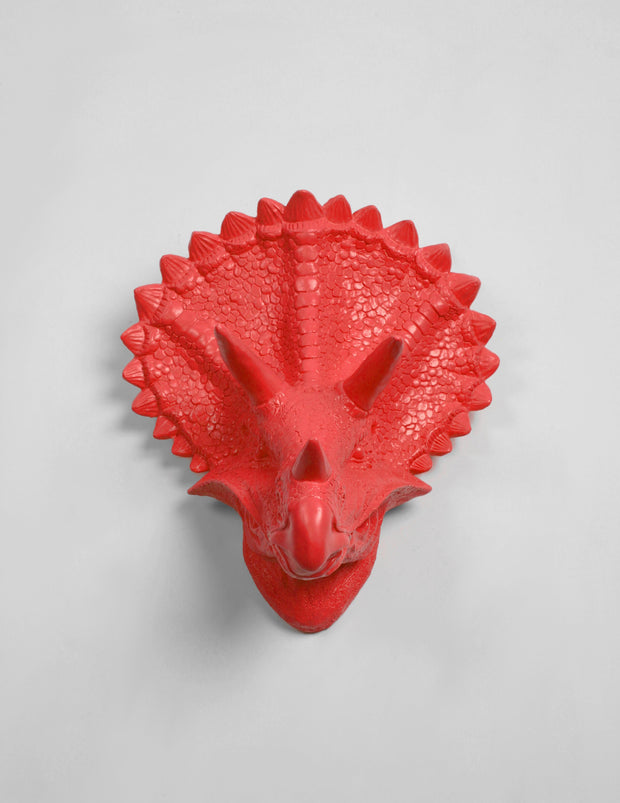 Triceratops Dinosaur Head Wall Hanging in Coral