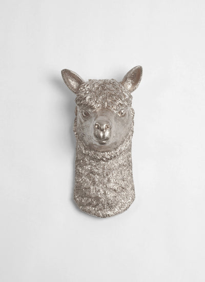 Llama in Silver