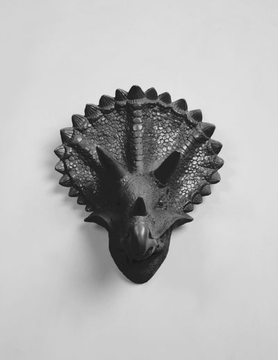 Black Triceratops Dinosaur Head Decor Forms