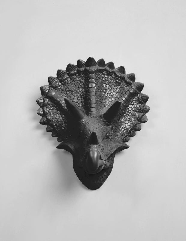 Black Triceratops Dinosaur Head Decor Forms