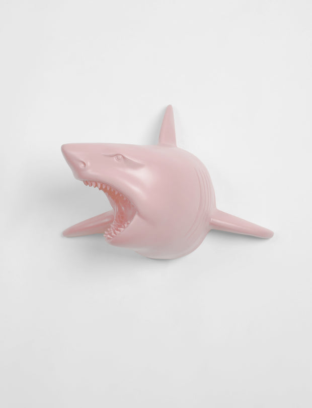 The Lewie in Cameo - Cameo Pink Resin Shark Head- Shark Resin Cameo Pink Faux Taxidermy- Chic & Trendy Fish Mount