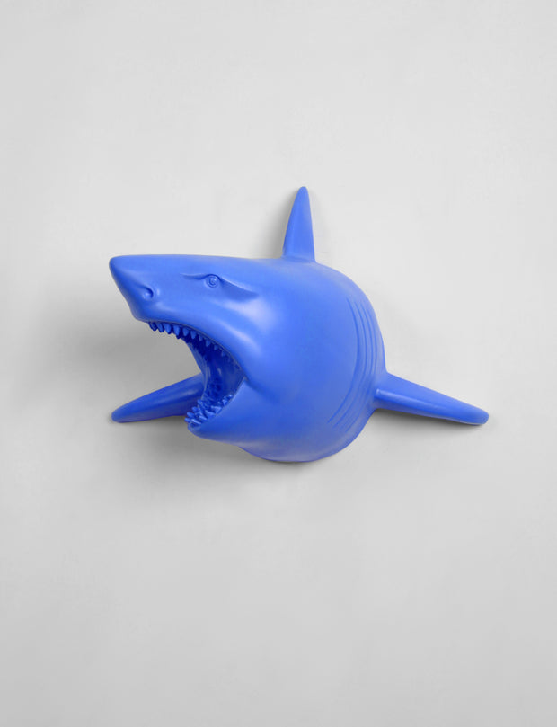 The Lewie in Cobalt - Cobalt Resin Shark Head- Shark Resin Cobalt Faux Taxidermy- Chic & Trendy Fish Mount
