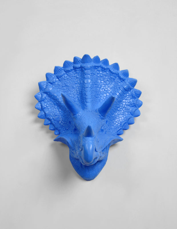 Triceratops in Cobalt blue Wall Decoration.