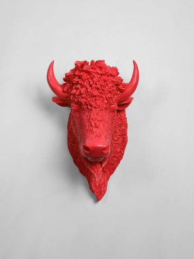 The Mellby in Coral | Bison Head | Faux Taxidermy | Coral Resin