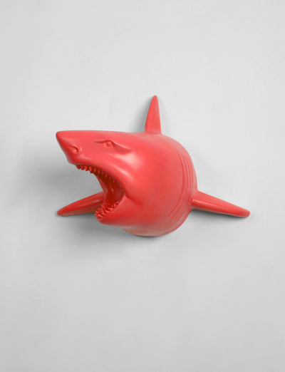The Lewie in Coral - Coral Resin Shark Head- Shark Resin Coral Faux Taxidermy- Chic & Trendy Fish Mount