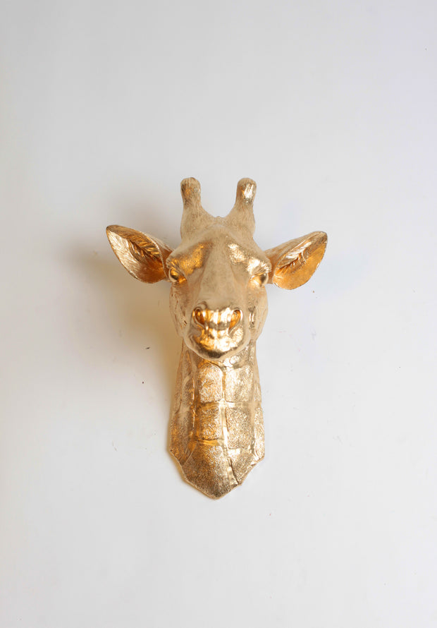 Faux Giraffe Head Wall Mount in Gold by White Faux Taxidermy®