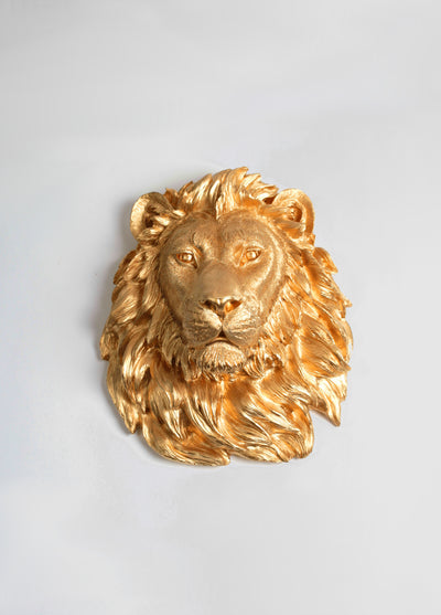The Epson | Lion Head | Faux Taxidermy | Gold Resin