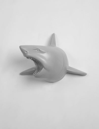 The Lewie in Gray - Gray Resin Shark Head- Shark Resin Gray Faux Taxidermy- Chic & Trendy Fish Mount