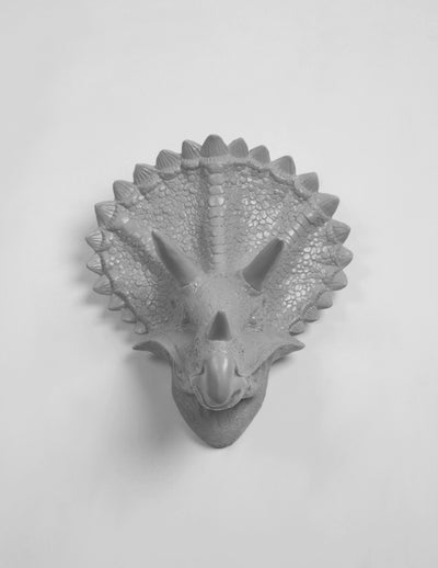 Gray Triceratops Head Wall Decor