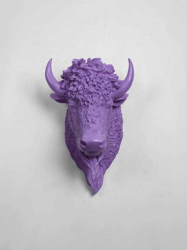 The Mellby in Lavender | Bison Head | Faux Taxidermy | Lavender Resin