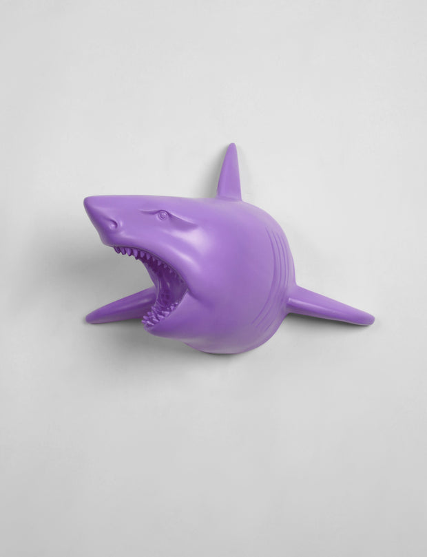 The Lewie in Lavender - Lavender Resin Shark Head- Shark Resin Lavender Faux Taxidermy- Chic & Trendy Fish Mount