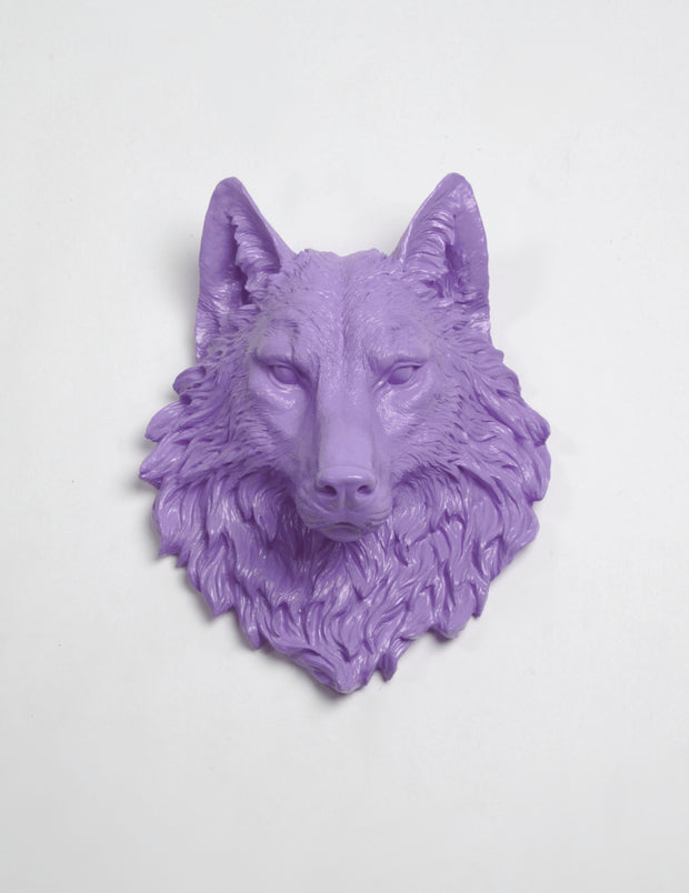 Faux Wolf Head The Lincoln in Lavender - Resin Wolf Mount by White Faux Taxidermy - Chic & Trendy Faux Animal Heads