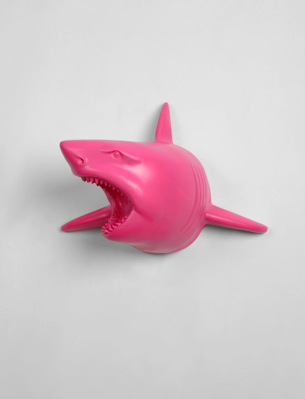 The Lewie in Pink - Pink Resin Shark Head- Shark Resin Pink Faux Taxidermy- Chic & Trendy Fish Mount