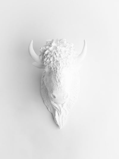 The Mellby | Bison Head | Faux Taxidermy | White Resin