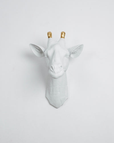 White Giraffe Head Wall Mount with Gold Ossicones / Horns