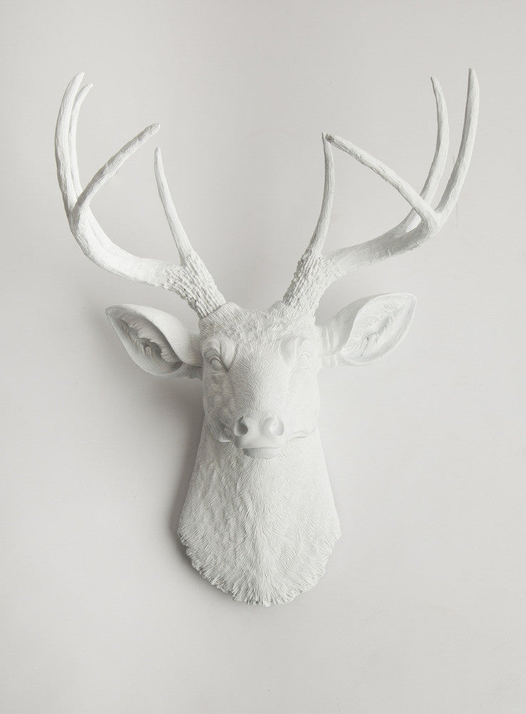 All White Deer Head Decor Wall Mount, The Templeton
