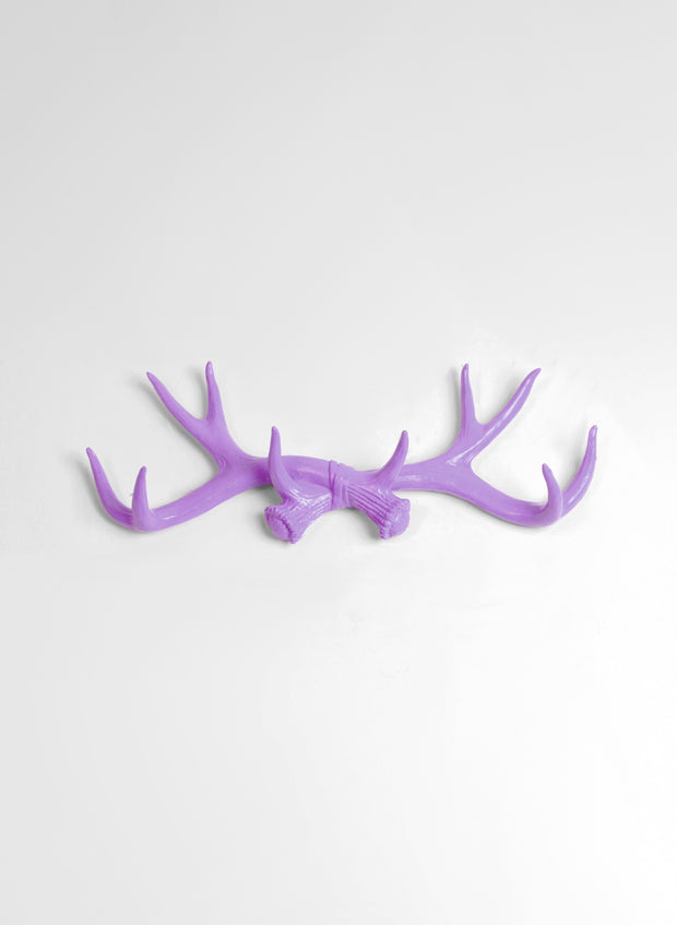 Lavender Antler Wall Rack | Deer Antler Hook | Lavender Resin Antlers