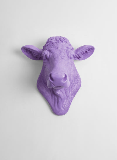 Back in Stock! The Bessie in Lavender, Cow Head Wall Decor