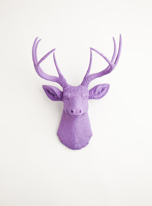 Lavender purple wall decor deer, The Emma. lavender purple faux stag head wall decoration 