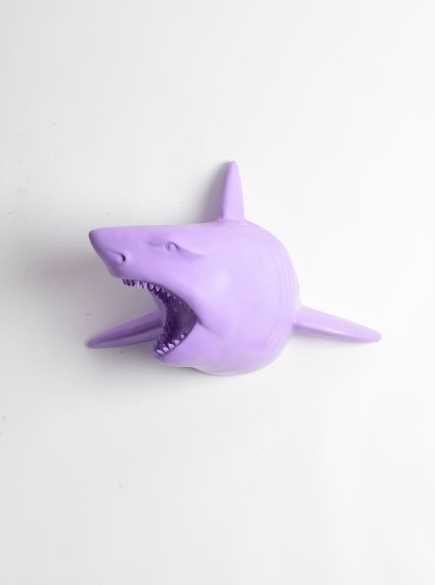 The Lewie in Lavender - Lavender Resin Shark Head- Shark Resin Lavender Faux Taxidermy- Chic & Trendy Fish Mount