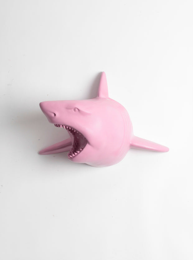 White Faux Taxidermy - The Lewie in Mauve - Lilac Resin Shark Head- Shark Resin White Faux Taxidermy- Chic & Trendy Fish Mount