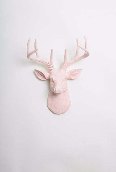 Mini Blush Pink Stag Head Wall Mount. cameo-pink ceramic-like resin mini mounted deer head sculpture wall decor