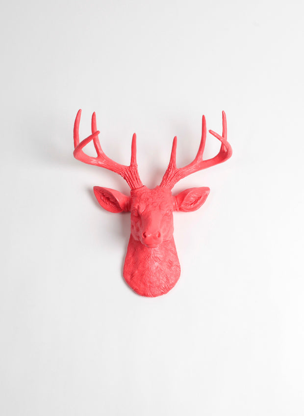 The MINI Stella, Mini Deer Head Faux Taxidermy | Coral Resin