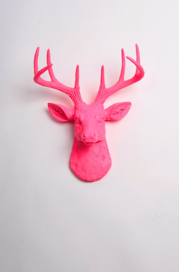 Pink Faux Mini Deer head Wall Mount. pink ceramic-like resin mini mounted stag head sculpture wall decor