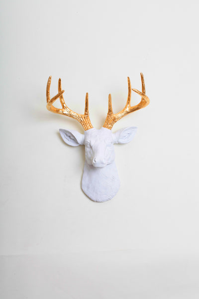 Mini Deer Head Wall Sculpture, White & Gold The Alfred. mini white resin deer head sculpture & gold antler decor wall hanging 