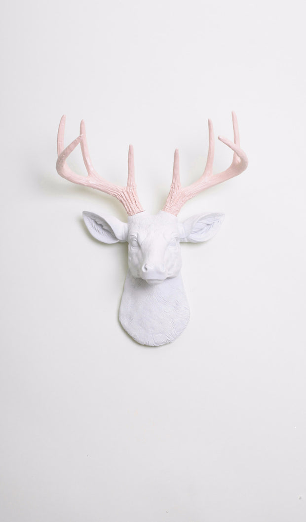 Cameo Pink & White Mini Deer Head Wall Mount. mini white resin deer head sculpture & cameo-pink antler decor wall hanging 