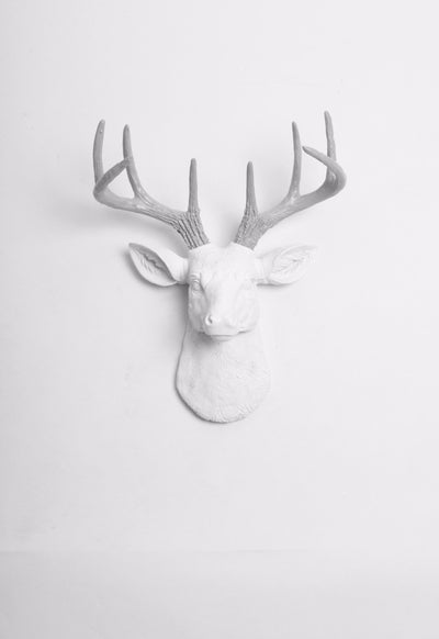 Mini Gray Faux Antlers & White Stag Head Wall Mount. mini white resin deer head sculpture & gray antler decor wall hanging 