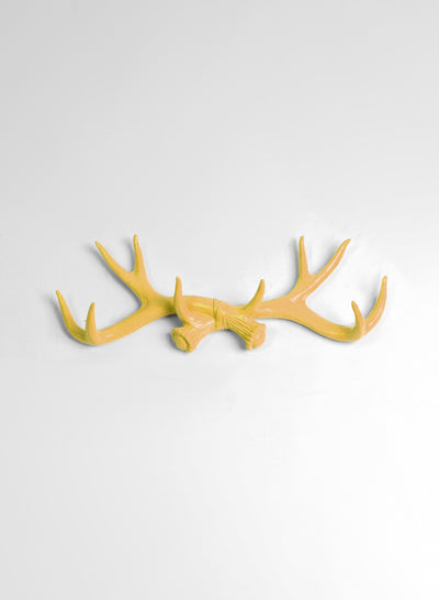 Mustard Antler Wall Rack | Deer Antler Hook | Mustard Yellow Resin Antlers