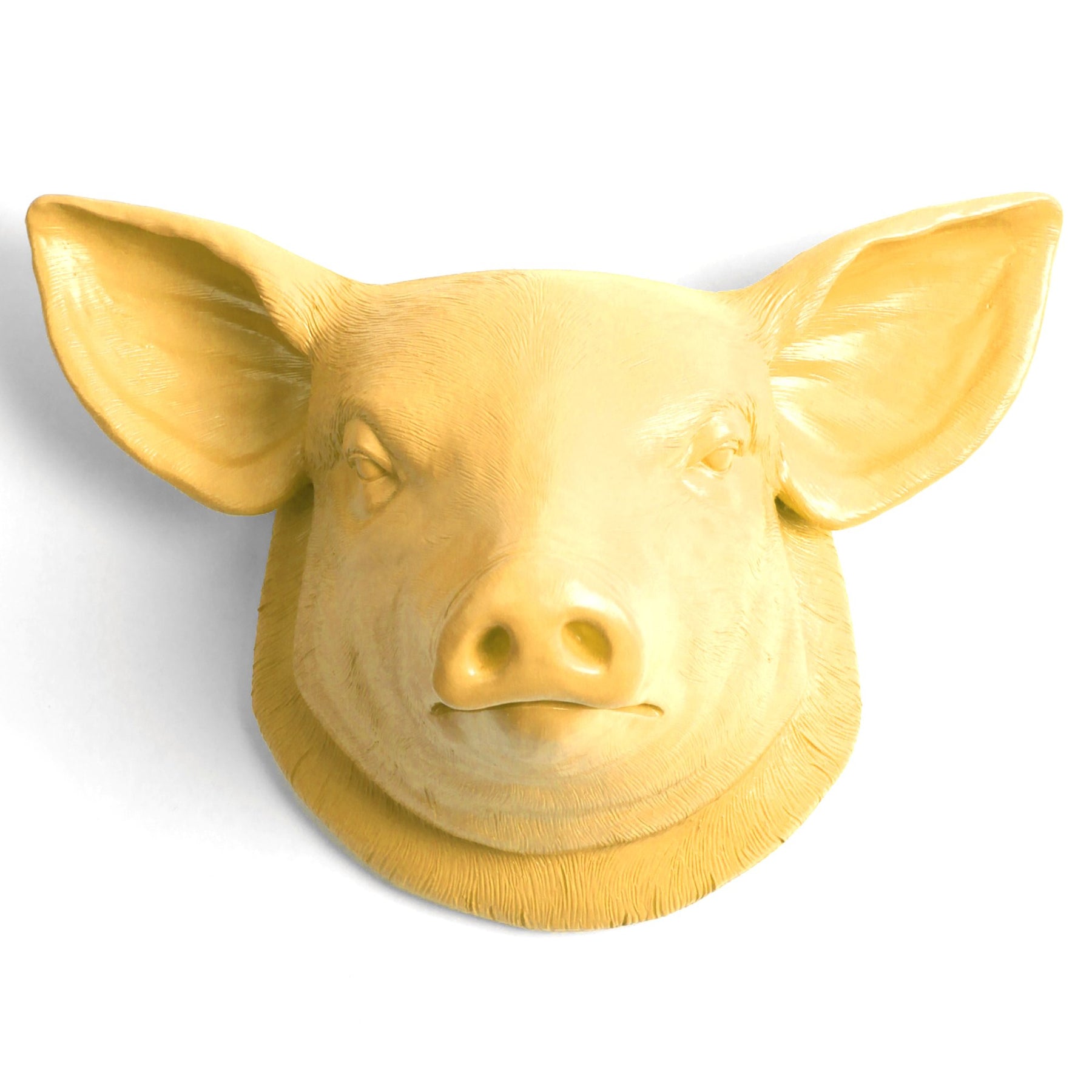 🐷 The Golden Piggy Mount 🐷