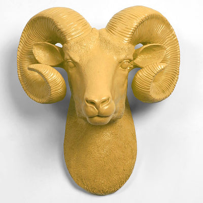 The Darby in Mustard - XL Ram Head | Bighorn Sheep Modern Farmhouse Decor