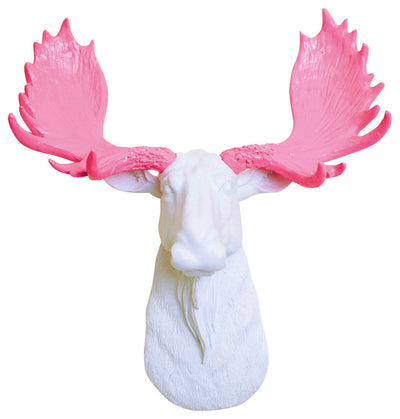 pink resin antlers & mini white moose head wall mount by White Faux Taxidermy