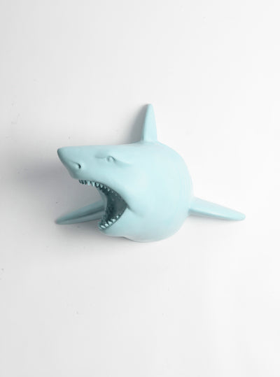 Lewie in Powder Blue | Faux Taxidermy Shark Head