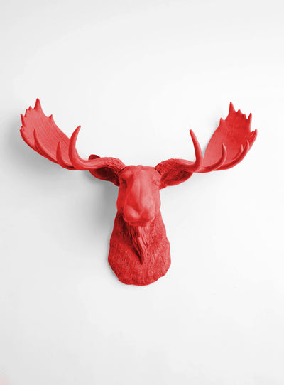 Red Moose Head Wall Hanging by White Faux Taxidermy. The Rosie
