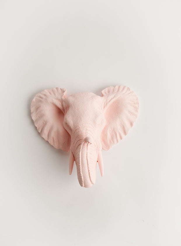 Mini Cameo Pink Elephant Head Wall Mount