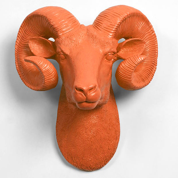 The Darby in Tangerine - XL Ram Head | Bighorn Sheep Modern Farmhouse Decor