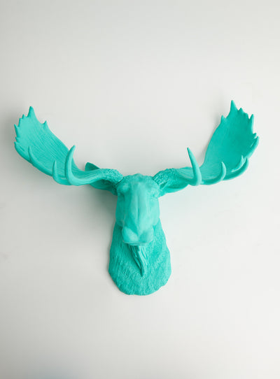 Moose Head Hanging for the Wall in Turquoise