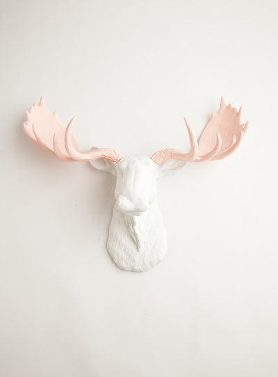 (PRE-SALE) The Anita | Moose Head | Faux Taxidermy | White Resin W/Cameo Pink Antlers