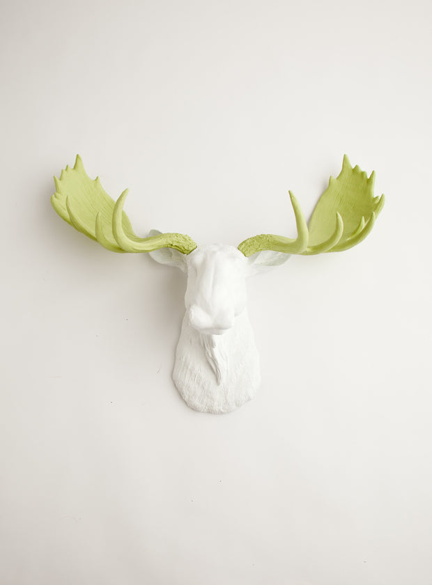 Mint Green Moose Head Hanging for the Wall